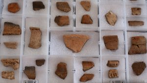 hallazgo arqueológico en Pitalito