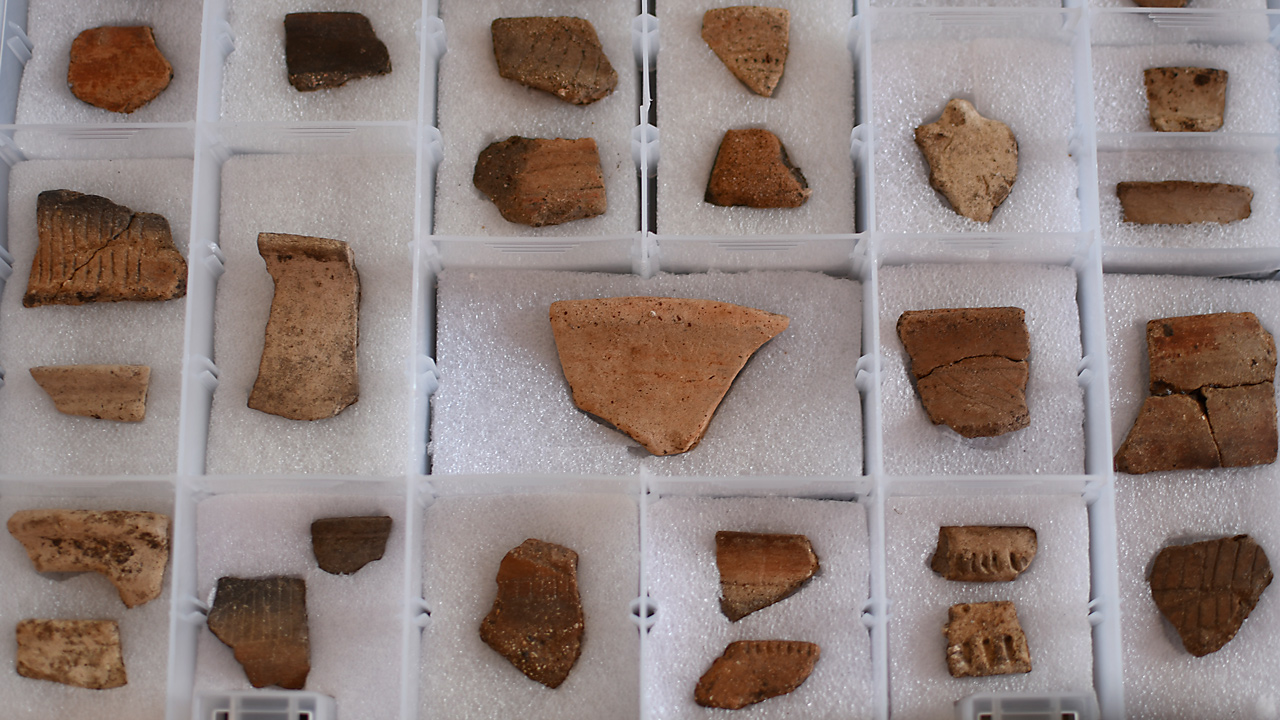 hallazgo arqueológico en Pitalito