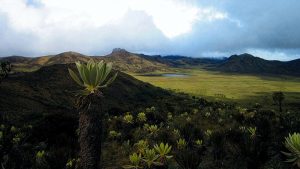 Laguna de la Magdalena