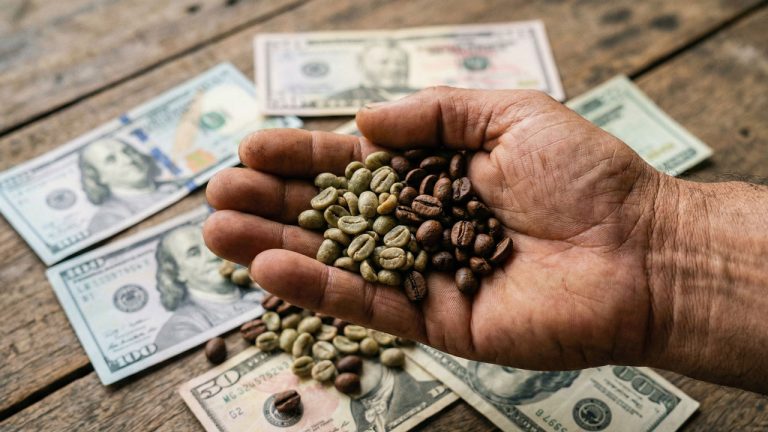 Precio del dólar en Colombia afecta a caficultores y exportadores en 2026.