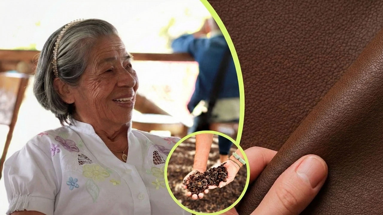 El Primer Cuero Vegano de Café
