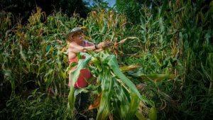 Agro en crisis Colombia