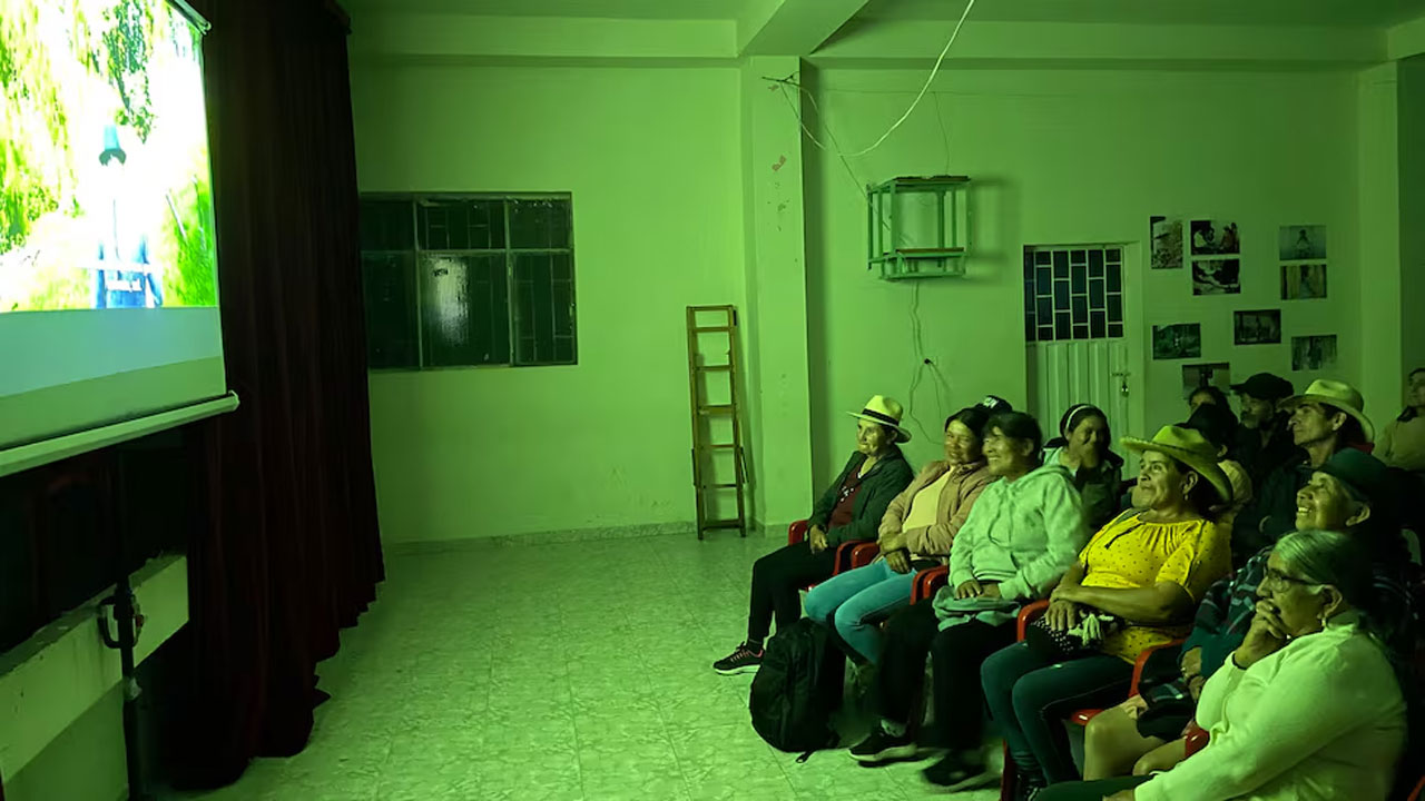 Coca Tinte natural en Guacamayas