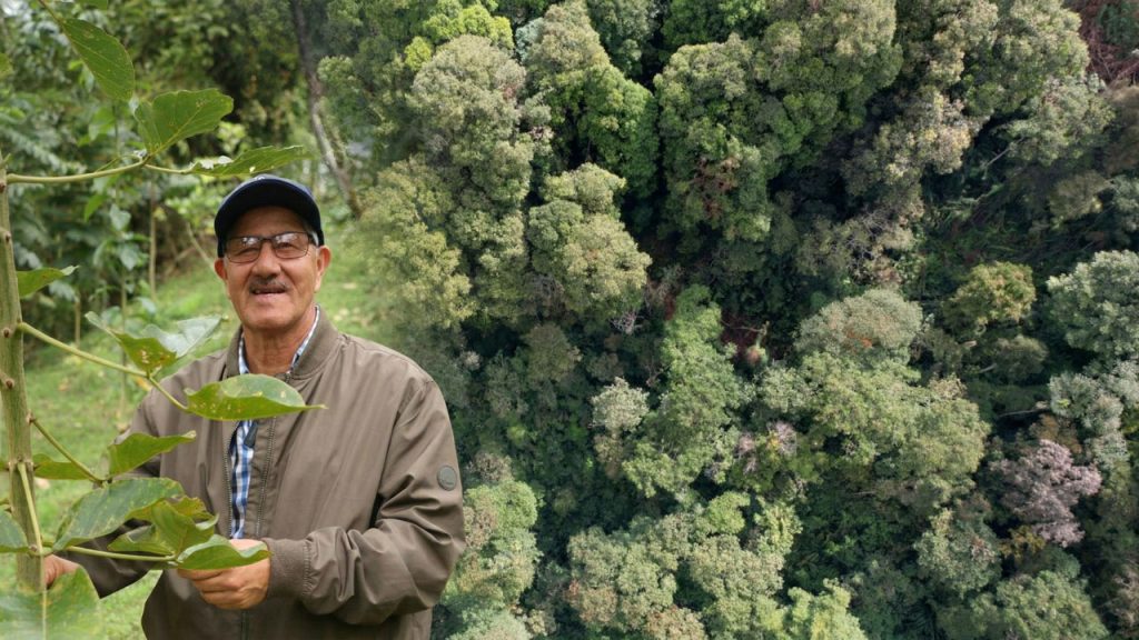Corredor Andino Amazónico del Huila