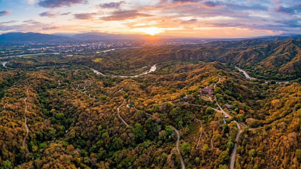 Bosque seco en el Huila