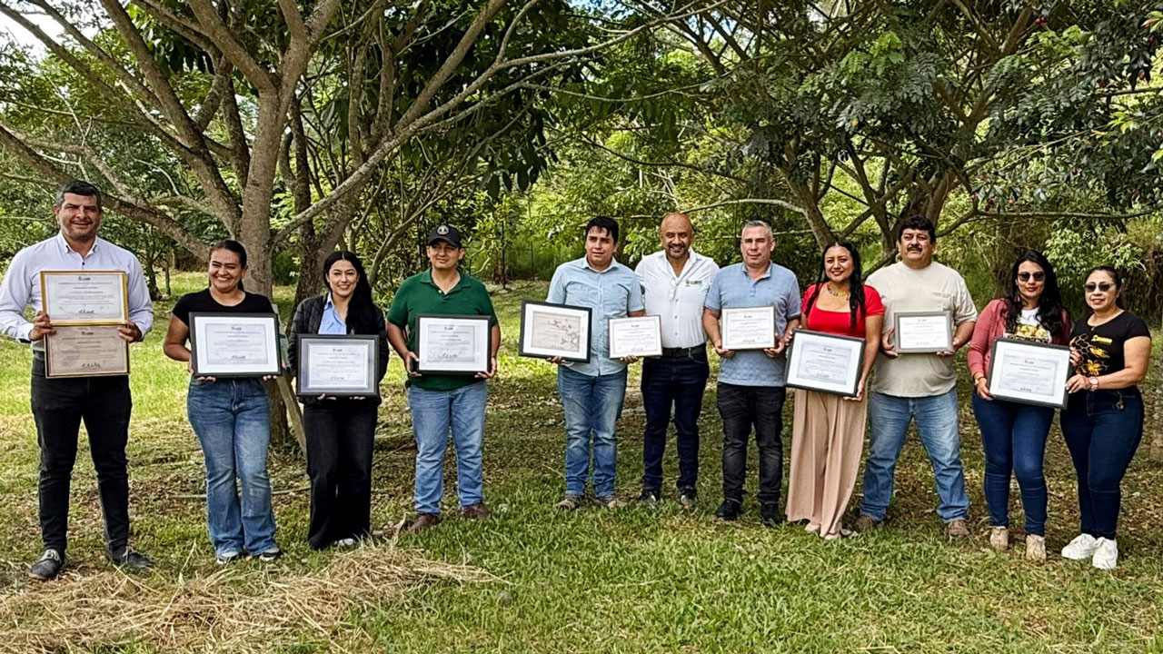 27 árboles declarados Monumento Natural del Huila