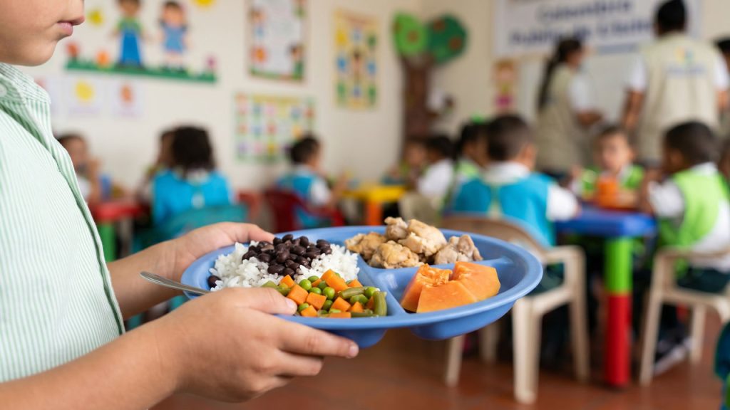 manos infantiles sosteniendo un plato de comida nutritiva