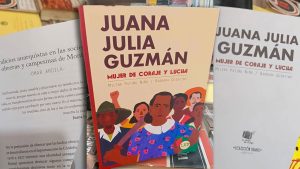 Postada del libro Juana Julia Guzmán