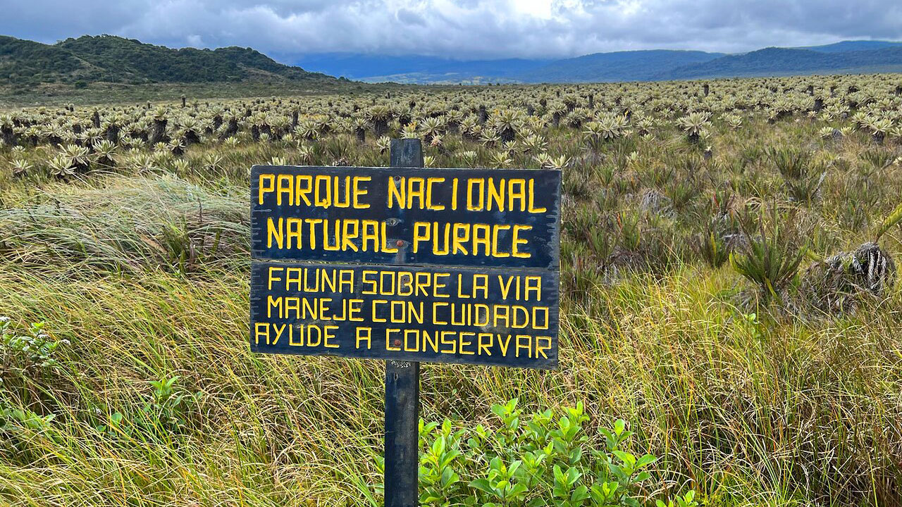 parque nacional natural purace