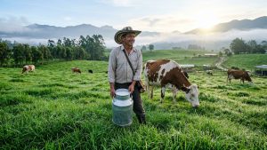 Producción de leche en Colombia récord 2025 y ganadero en el campo.