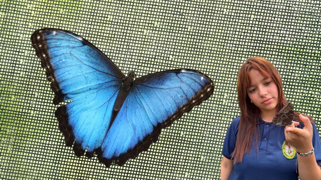 Nuevo mariposario en Pitalito impulsa biodiversidad
