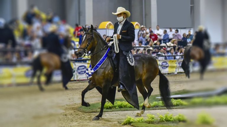 Arranca con Éxito la XXXVIII Expo Feria Garzón 2026