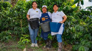 Café Asmuer, las mujeres que revolucionan el café en Pitalito