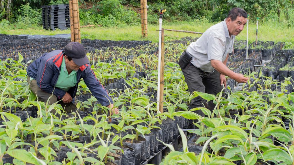 El Huila en alerta máxima frente al Fenómeno de El Niño