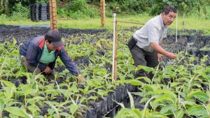 El Huila en alerta máxima frente al Fenómeno de El Niño