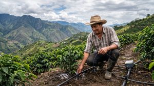 El Huila es eje de las nuevas políticas agropecuarias