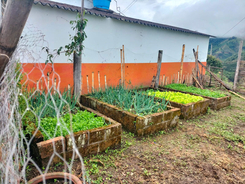 Estudiantes de Garzón revolucionan el campo con riego inteligente