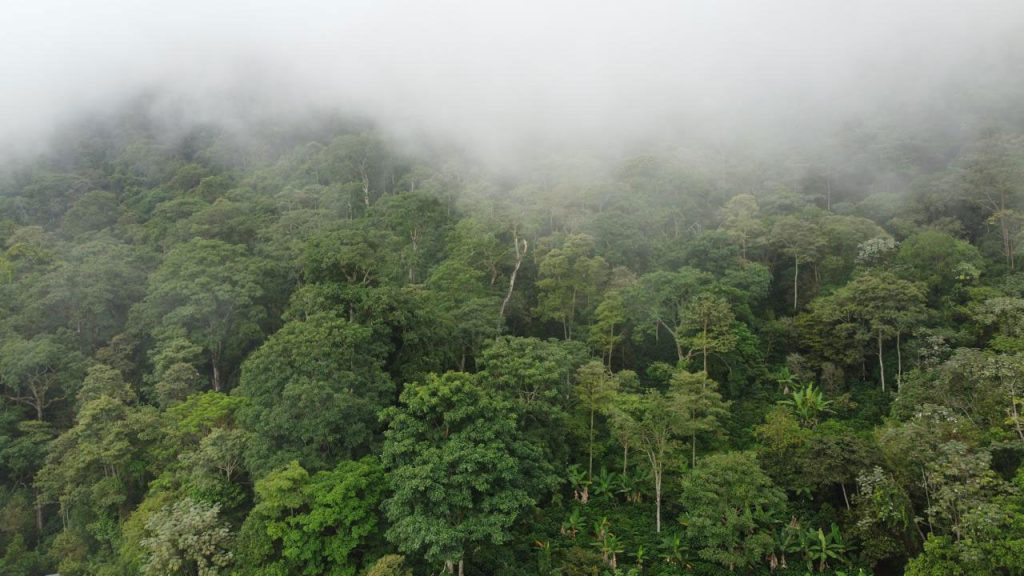 Nátaga abre registro legal de reservas naturales