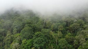 Nátaga abre registro legal de reservas naturales