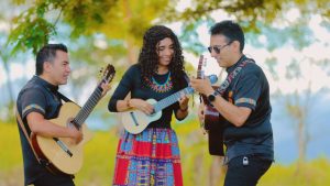 Pitalito destaca en la Música Andina del Huila