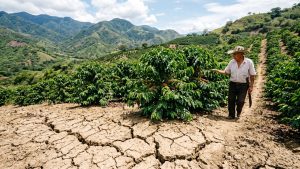 Huila en alerta preventiva