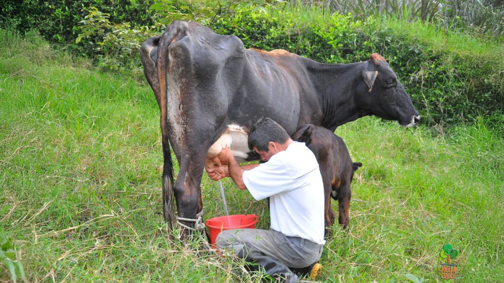 Huila avanza en la formalización de tierras.