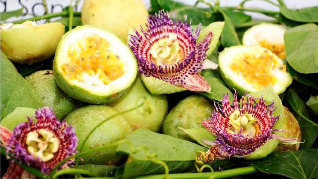 Huila renace con sus pasifloras
