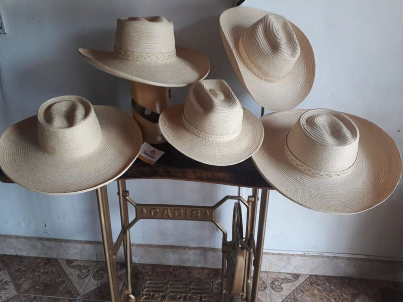 El sombrero de Pindo busca registro de marca y plan de salvaguardia