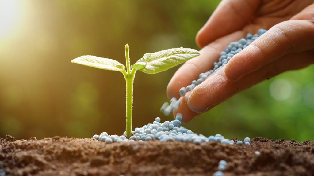 Baja la urea 17%, un respiro vital para el agro