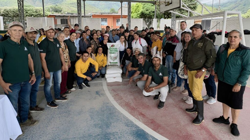 FNC inyecta $162 millones en Algeciras para blindar la caficultura huilense