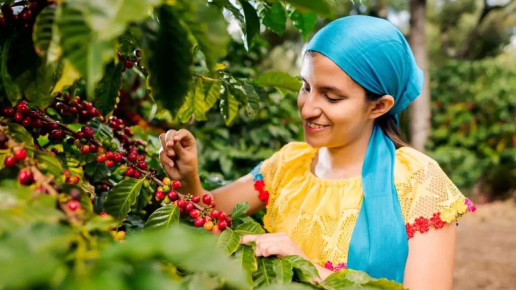 Gobierno reactiva fondo para la mujer rural tras 28 años