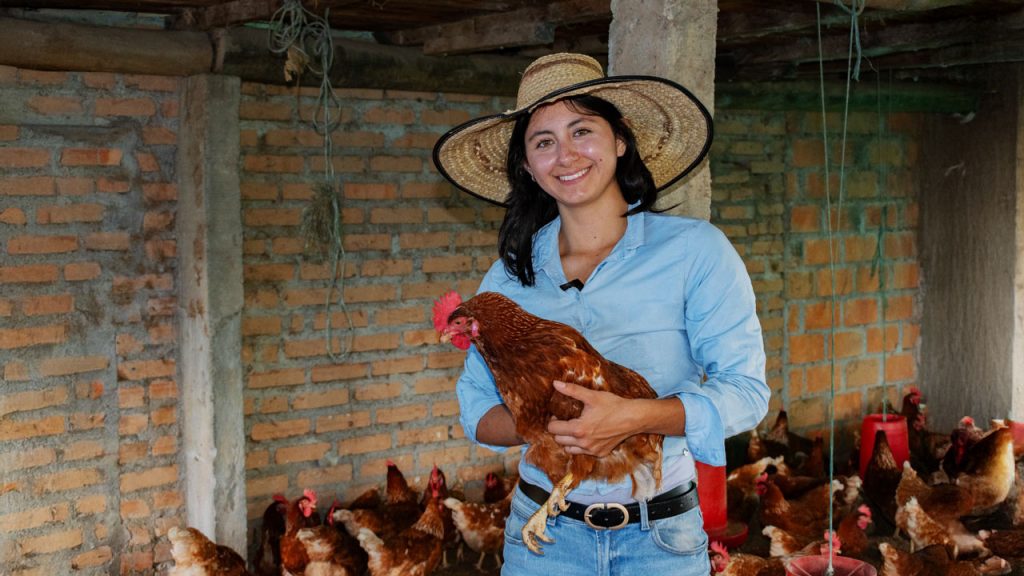 Huevos semicriollos en Isnos, los jóvenes lideran el agro
