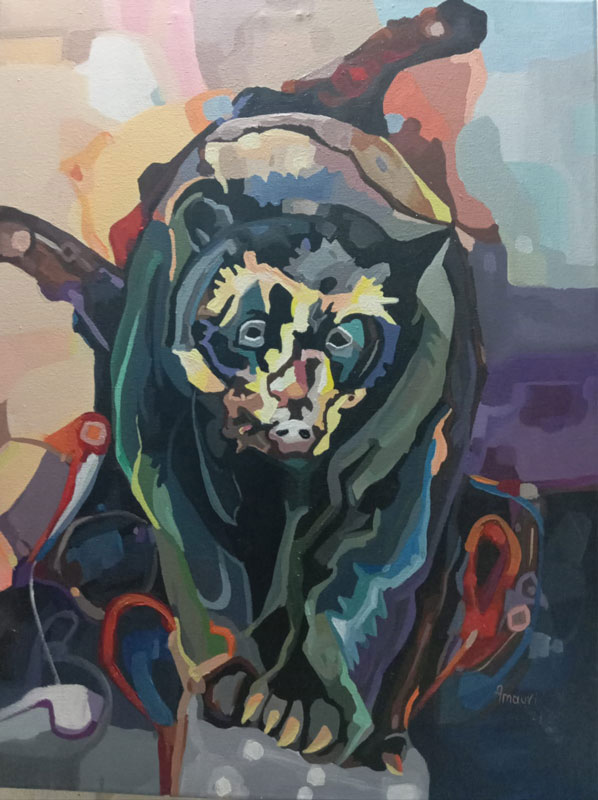 Neiva inaugura la gran muestra «Unidos por el Arte»