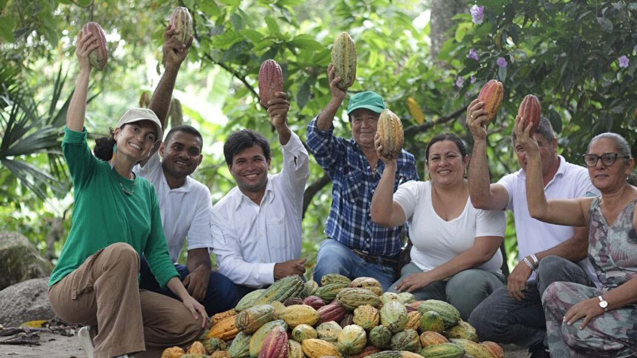 Rivera busca al mejor productor en el 3° Concurso Cacao de Oro