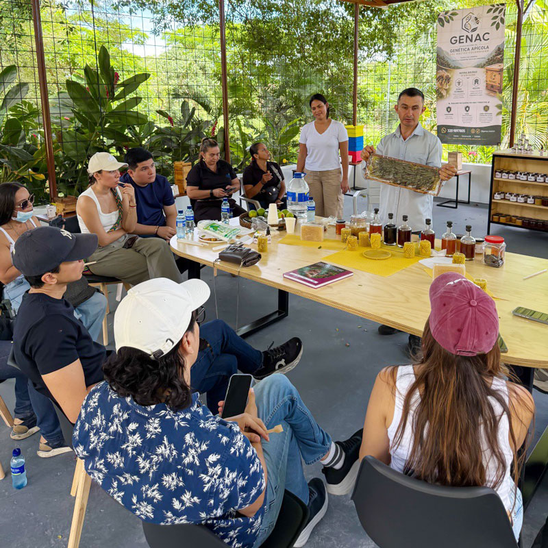 Rivera estrena el primer museo de abejas del Huila