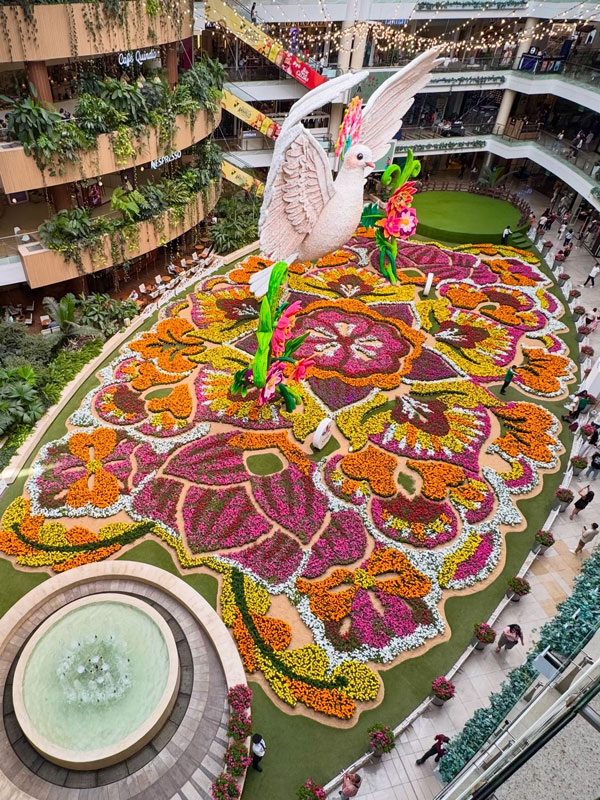 Arranca la Feria de las Flores 2026 en Medellín