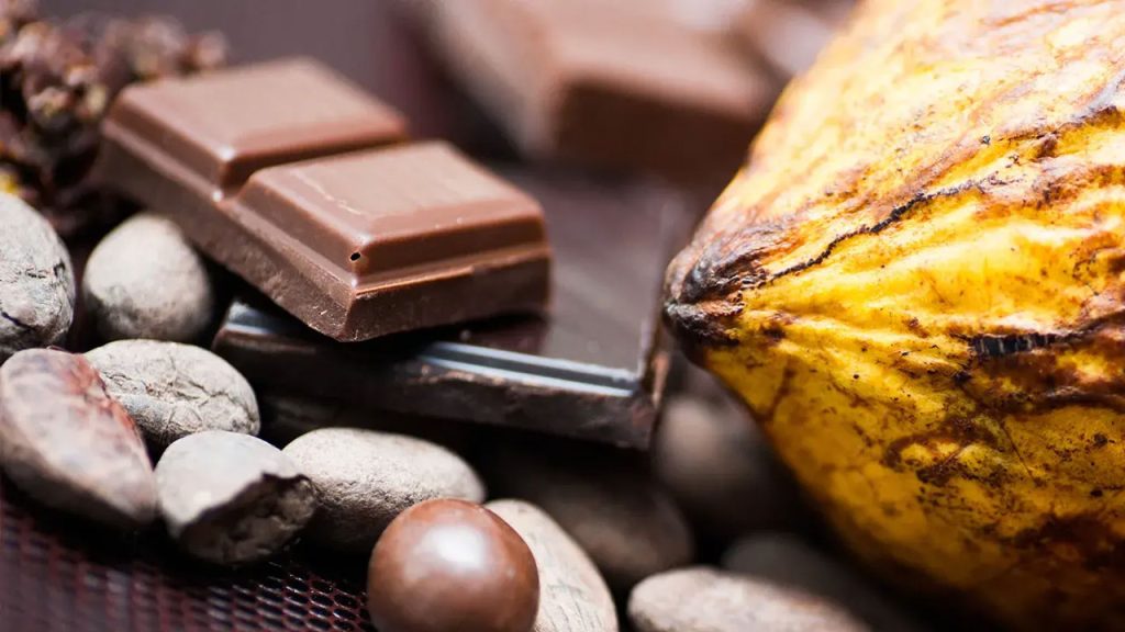 Cacao colombiano rompe récord de exportación en EE. UU.