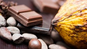 Cacao colombiano rompe récord de exportación en EE. UU.