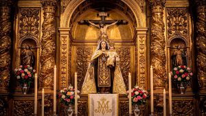 Devoción en movimiento. Pitalito se rinde ante la Virgen del Carmelo