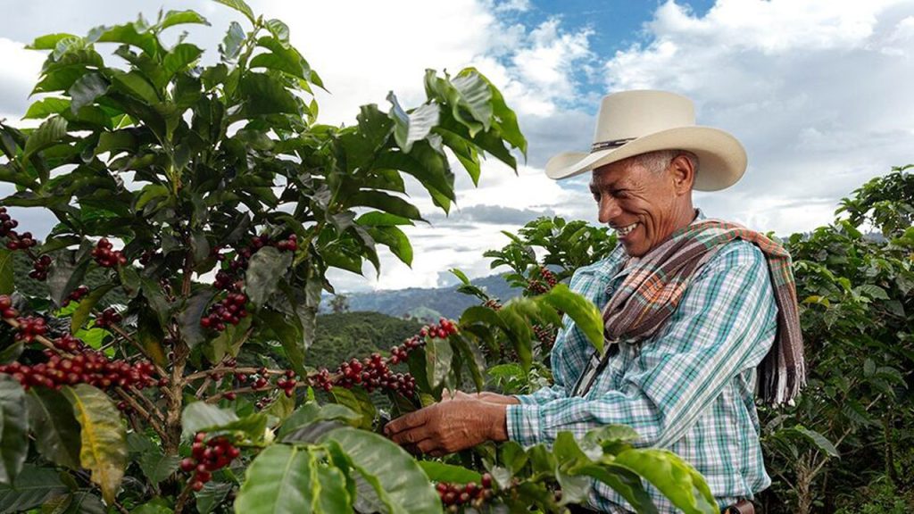 Economía del Huila: Cinco años de crecimiento constante