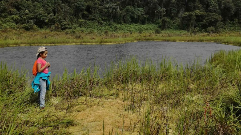 El auge de las Reservas Naturales de la Sociedad Civil