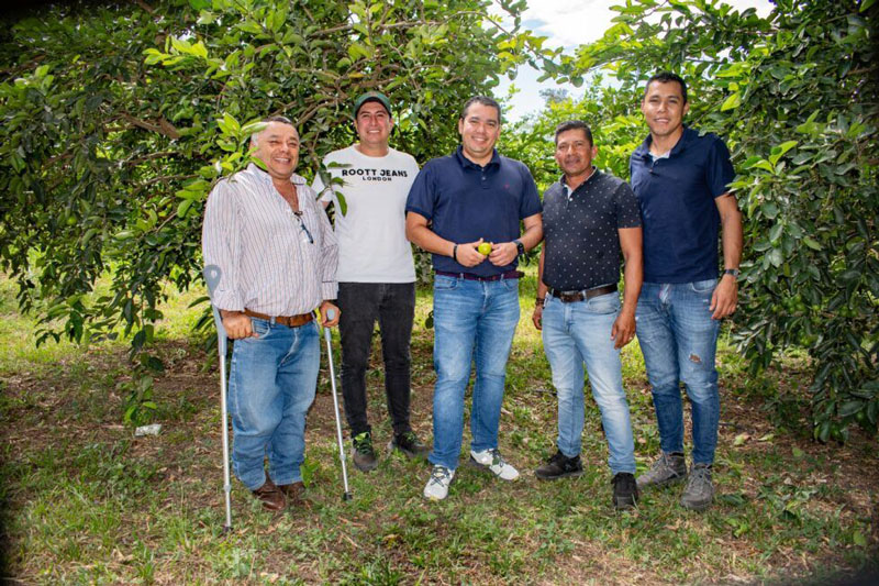 El limón Tahití del Huila conquista el paladar europeo