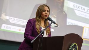 Impulso a la meritocracia estatal en la región sur