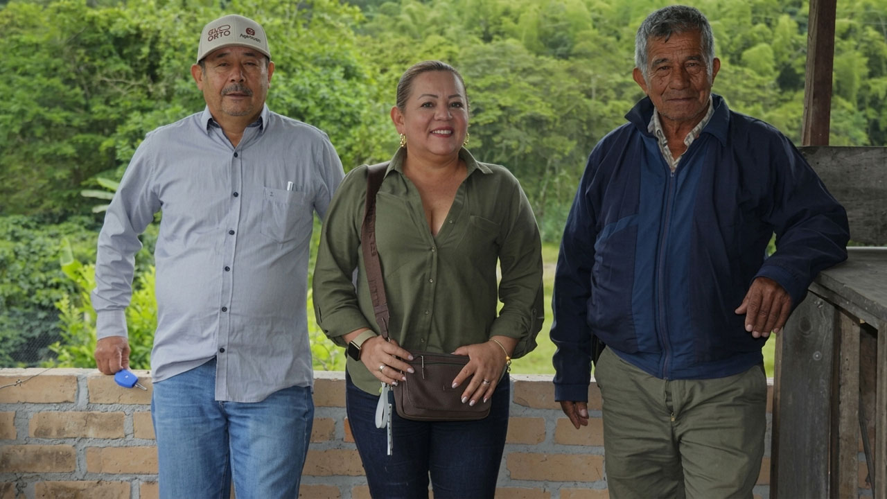 Renovación cafetera en Pitalito, nuevas voces al comité