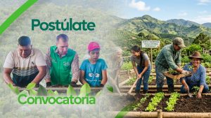 ¡Lidera el cambio! Abren fondos para proyectos ambientales