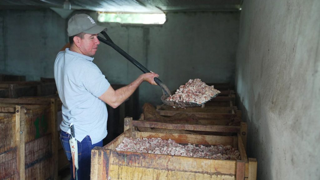 Biodigestores salvan los ríos del Huila
