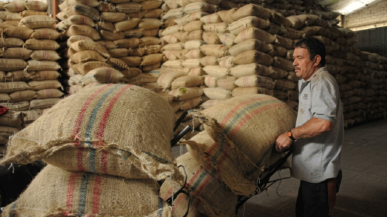 Café colombiano supera los US$ 4: ¿qué impulsa el precio?
