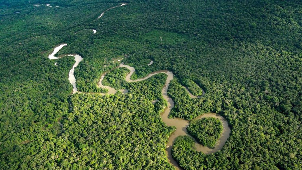 Colombia alcanza cifra histórica en reducción de deforestación