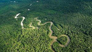 Colombia alcanza cifra histórica en reducción de deforestación
