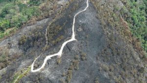 El Niño recrudece: incendios forestales arrasan 1.141 hectáreas